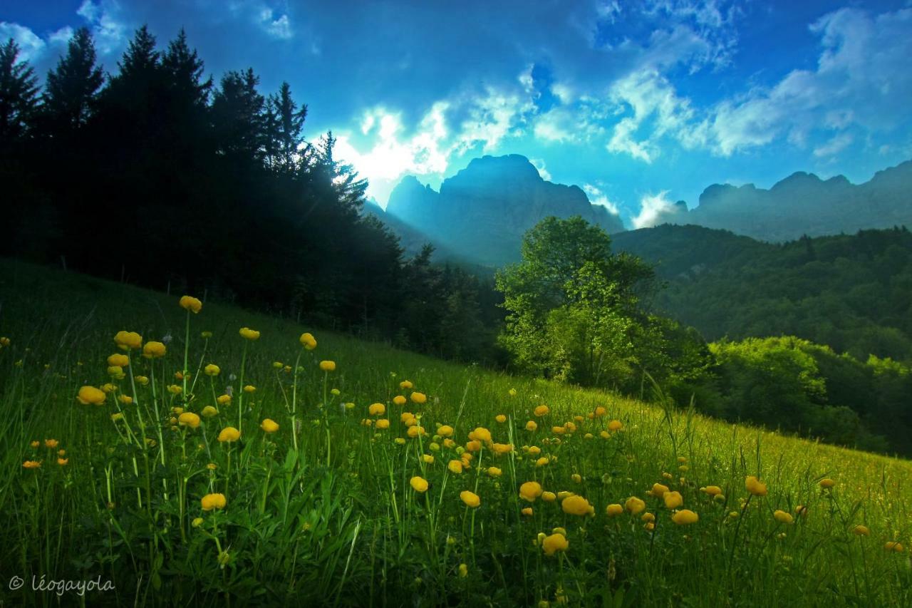 Les Chalets De Pre Clos En Vercors Saint-Andéol エクステリア 写真